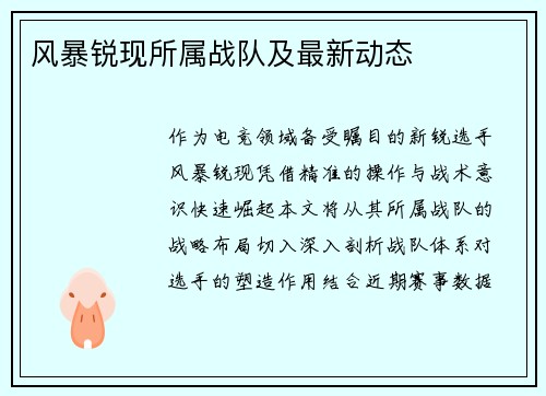 风暴锐现所属战队及最新动态